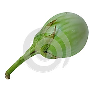 Green eggplant isolated on white background. Clipping path included