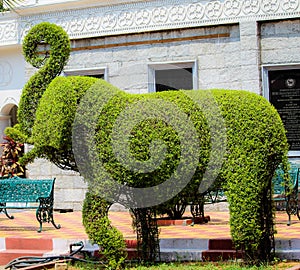 Green Elephant Statue Using Plants