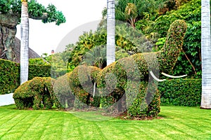 Green Elephants Garden Sculptures. Tenerife, Loro Parque