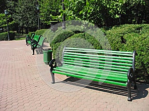 Green empty bench in the park