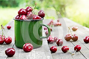 Green enameled mug full of ripe cherries on wooden bench in summer garden.