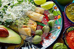 Green enchiladas Mexican food with guacamole