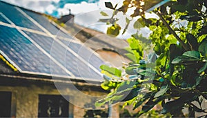 Green Energy Ascent: Solar Panels amidst Blossoming Nature