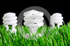 Green Energy Bulbs - Environmental Concept