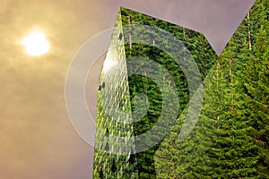 Green energy in the city: green modern building