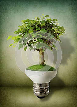 Green energy concept