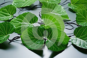 green energy concept: artificial leaves with power cords