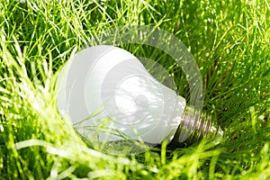 Green energy concept with bulb in the grass outdoor