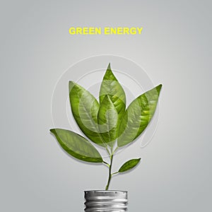 Green energy concept. Light bulb socket with sprout, green leaves isolated on grey background. Ecology. Environment