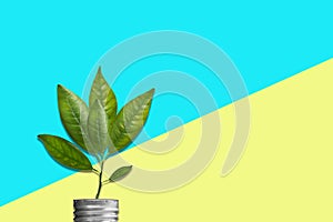 Green energy concept. Light bulb socket with sprout, green leaves on a yellow-blue background. Ecology. Environment