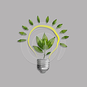 Green energy concept. Light bulb with sprout and green leaves isolated on a gray background. Ecology. Enviroment