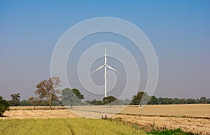 Green Energy Concept Wind Power Electricity Generation Turbine and Green Agriculture Fields