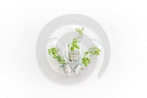 Green energy eco concept with grass in bulb, top view