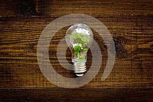 Green energy eco concept with grass in bulb, top view