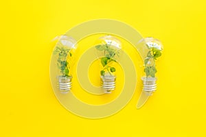 Green energy eco concept with grass in bulb, top view