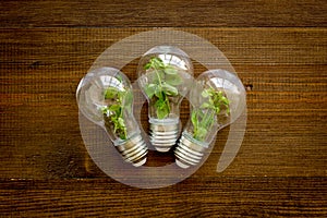 Green energy eco concept with grass in bulb, top view