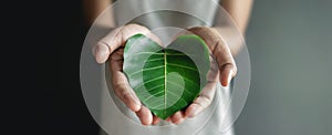 Green Energy, ESG, Renewable and Sustainable Resources. Environmental and Ecology Care Concept. Close up of Hand holding a Leaf photo