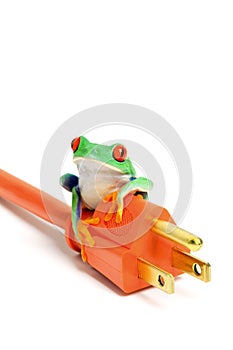 Green energy - frog on power plug isolated