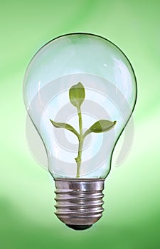 Green energy - light bulb with plant inside