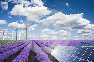 Green energy or renewables concept with purple lavender field wind turbines an solar panels on a hot summer day