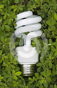 Green Energy Saving Light Bulb