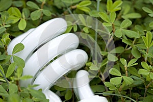 Green Energy Saving Light Bulb
