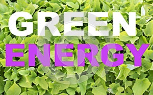 Green energy sign illustration on background of leaves