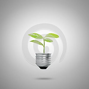 Green energy symbols ecology light bulb