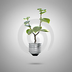 Green energy symbols ecology light bulb