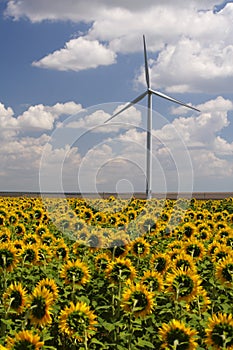 Green energy - wind turbine