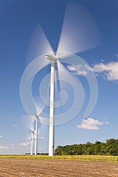 Green Energy Wind Turbines In Field of Sunflowers