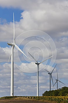 Green Energy Wind Turbines In Field of Sunflowers