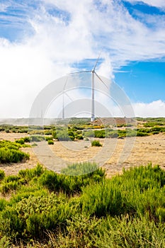 Green energy - Wind Turbines, Windmill Generators.