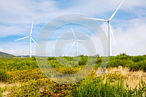 Green energy - Wind Turbines, Windmill Generators.