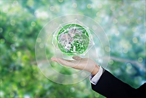 Green and environmental global business. Businessman hand holding globe with green Bokeh background. Element of this image are fur