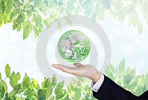 Green and environmental global business. Businessman hand holding globe with leaves background. Element of this image are furnishe