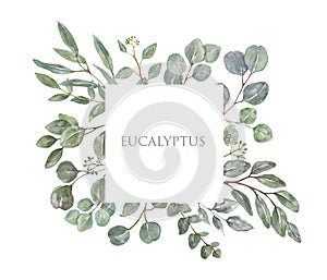 Green eucalyptus leaves and foliage square frame. Watercolor greenery border, floral botanical invitation on white background