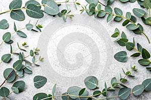 Green eucalyptus leaves on stone table