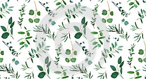 Green eucalyptus leaves set. Editable watercolor vector illustration. Greenery, silver dollar branches.