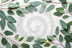 Green eucalyptus leaves on stone table