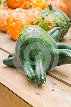 Green exotic shape decorative pumpkin