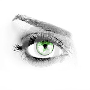 Green eye