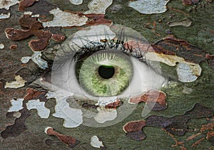 Green eye with camoflage pattern