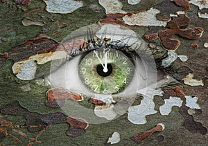 Green eye with camoflage pattern with clock