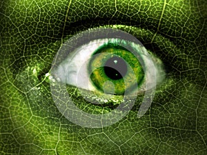 Green Eye Camouflage photo