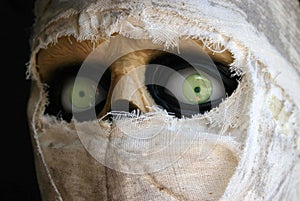 Green-eyed mummy photo