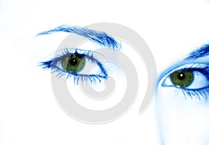 Green eyes photo