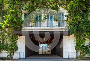 Green facade with climbing plants on modern building, eco architecture concept, vertical greenery