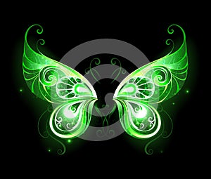 Zelený víla křídla 