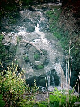Green fairytail waterfall